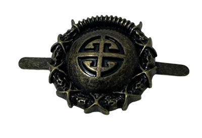 Zabytkowy metalowy guzik